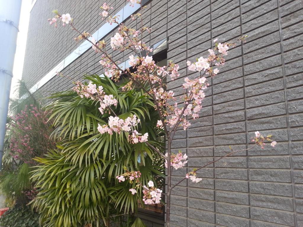 東京都 安尼可思胜太郎日式旅馆酒店 外观 照片